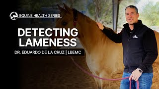 Detecting Lameness in Your Horse [upl. by Notwal656]