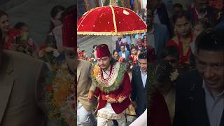 Popular singer Arjun Sapkota marriage ❣️ arjunsapkota nepalisong shortsvideo shorts [upl. by Fafa]