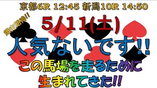 【競馬予想】5月11日の平場レース妙味馬 この馬場を走るために生まれてきたと言っても過言ではない過言です 動画遅くなってすいません 競馬 [upl. by Esiuole]