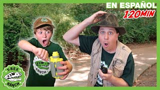 El desafío de Halloween en Dino HQ  🦖 TRex Rancho  Moonbug Kids  Parque en Vivo [upl. by Gnek]