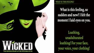 What is This Feeling  Wicked  Talent Show Karaoke with Lyrics [upl. by Ayhdiv417]