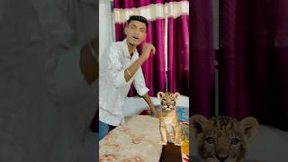 Dost ne pala hai sher 🐅😱😱 vlog minivlog [upl. by Luapnoj254]