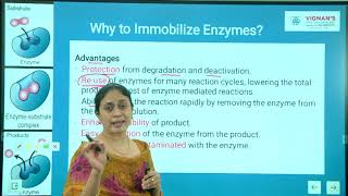 Enzyme immobilization Unit 4 Lecture 1 [upl. by Netnert]