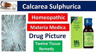 Calcarea Sulphurica Homeopathic Medicine Drug PictureMateria Medica bhms materiamedica calcarea [upl. by Ressay311]