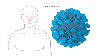 How does Modernas Coronavirus vaccine work [upl. by Field648]