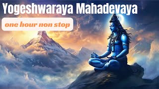 Yogeshwaraya Mahadevaya  Instrumental  Rakesh Chaurasia  Shiva Stotram [upl. by Attenaej832]