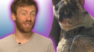 Koalas with Chlamydia  Earth Juice Ep 24  BBC Earth Explore [upl. by Eniwtna82]