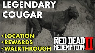 Red Dead Redemption 2  Legendary Cougar Location Rewards Walkthrough [upl. by Bell]