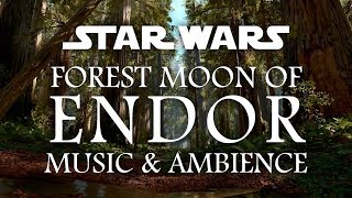 Star Wars Music and Ambience  Moon of Endor [upl. by Oinotnanauj]