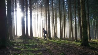 Metal detecting quotArdennes Forest SPECIALquot 25 [upl. by Ree321]