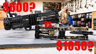 HOYT TORREX VS VENTUM 30  600 Bow vs 1050 Bow  Which One Should You Choose [upl. by Boff354]