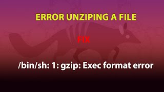 UBUNTU FIX binsh 1 gzip Exec format error [upl. by Adlemi845]