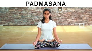 How to do Padmasana  Lotus Pose [upl. by Neyuq]