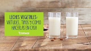 Leches vegetales virtudes tipos y cómo hacerlas en casa [upl. by Sum683]