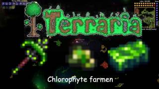 Chlorophyte farmen Terraria Tutorial [upl. by Leaj]