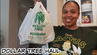 DOLLAR TREE HAUL  CRAFT ITEMS amp MORE [upl. by Adnak630]