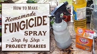 ★ How to Make Cheap Homemade Fungicide Complete Step by Step Guide [upl. by Grevera]