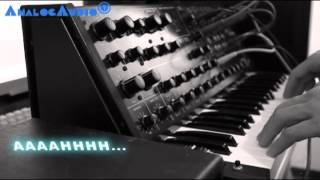 My moaning Korg MS20 synthesizer [upl. by Stanton822]