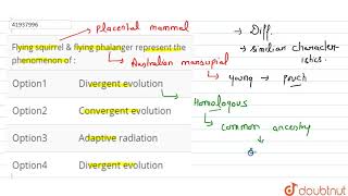 Flying squirrel amp flying phalanger represent the phenomenon of [upl. by Ayn]
