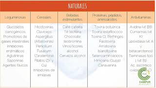 Toxicología Alimentaria Parte 1 [upl. by Hospers]