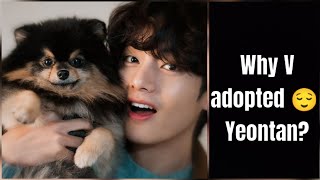 Why V adopted yeontan  Tania 🥳 and Kim taehung 💜 v loves yeontan very much [upl. by Attelrak349]