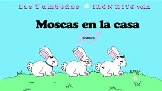 Las Yumbeñas  Moscas en la casa ft Paul Fasel [upl. by Klotz]