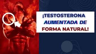 3 FORMAS DE AUMENTAR LA TESTOSTERONA NATURALMENTE  MASCULINIDAD A TOPE CON EL TANTRA [upl. by Randee]