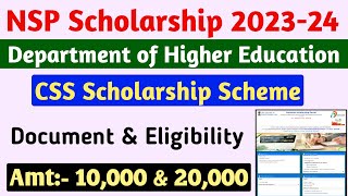 NSP CSS Scholarship 202324 apply  Central Sector Scholarship Scheme 202324  Nsp CSS Scheme [upl. by Mharg]