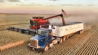 Welker Farms 2016  Part 3  Harvest [upl. by Wheaton171]