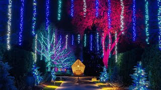 A Longwood Christmas Lights up the Night with Half a Million Lights 2022 [upl. by Lorrimer]