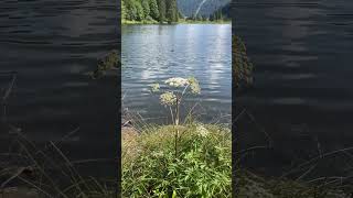 Morgins Lake 🏞️🇨🇭 [upl. by Hedges]