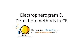 Capillary Electrophoresis Part 4 Electropherogram amp Migration Time [upl. by Notyalc916]