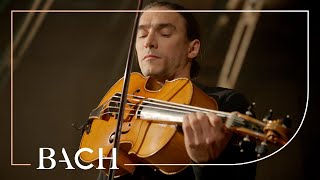 Bach  Cello Suite no 6 in D major BWV 1012  Malov  Netherlands Bach Society [upl. by Obed]