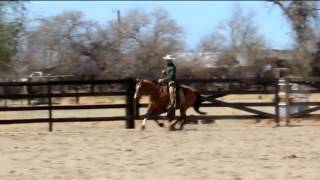 California vaquero bridle horse [upl. by Navonoj495]