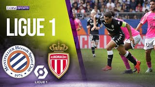 Montpellier vs Monaco  LIGUE 1 HIGHLIGHTS  10092022  beIN SPORTS USA [upl. by Nolrev544]