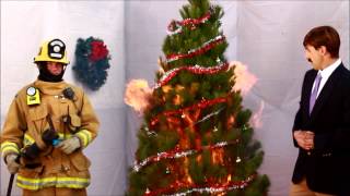 Funny Fire Prevention Christmas Tree Safety Video by Ron Burgundy nephew quotBob McLavenderquot [upl. by Rella]