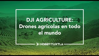 DJI AGRICULTURE Drones agrícolas en todo el mundo [upl. by Kampmeier]