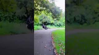 KUKIRIN G2 MAX ELECTRIC SCOOTER POV [upl. by Oneida200]