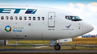 SPECIAL LIVERY WestJet quotThink Green Fly Cleanquot 737700 Landing at Calgary Airport [upl. by Kendry]