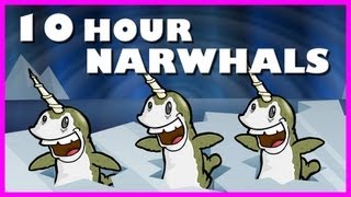 Narwhals  10 Hours [upl. by Lenssen]