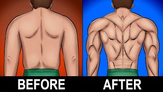 7 BEST Exercises for a Stronger Lower Back [upl. by Kopp690]