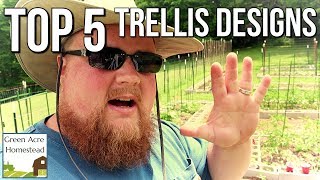 Top 5 Garden Trellises that Work  Gardening  Homesteading [upl. by Ruperto858]