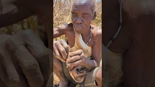 Hadzabe tribe elders prepared arrow for hunting [upl. by Karena]