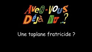 FUN Avezvous déjà vu une toplane fratricide [upl. by Aenitsirhc]