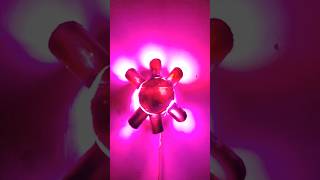 Wall Decoration lamp light by pvc pipe viral shortsfeed Shorts viralshort ytshort [upl. by Plerre]