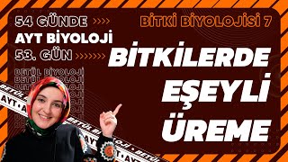 53 Bitkilerde Eşeyli Üreme  Bitki Biyolojisi  12 Sınıf Biyoloji  2024 AYT Biyoloji 53 Gün [upl. by Scuram61]