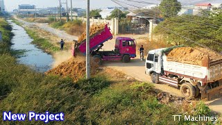 Perfectly Just Opening New Project Fill The Land Use Dump Trucks5T amp Dozer Push Stone Into Water [upl. by Ingeberg490]