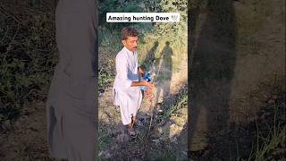 Amazing hunting Dove 🕊️farming amazing hunting humor dove [upl. by Manning]