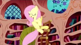 The Best of Fluttershy [upl. by Douglass520]