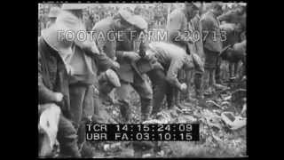 Battle of Ancre Rl23 22071301  Footage Farm [upl. by Ynnub371]